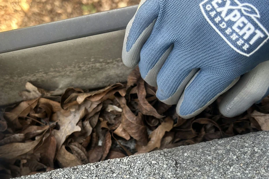 Gutter Cleaning La Porte, TX