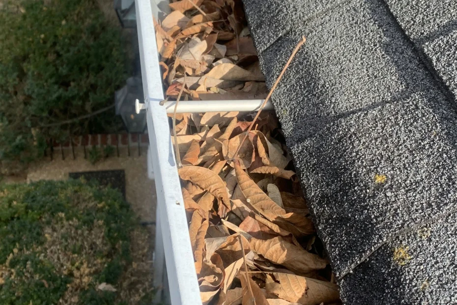 Gutter Cleaning La Porte, TX